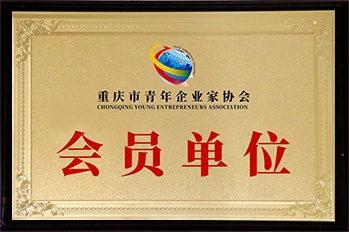 金东方教育 | 重庆市青年企业家协会会员单位