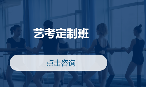 艺考定制班