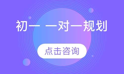 初一 一对一辅导