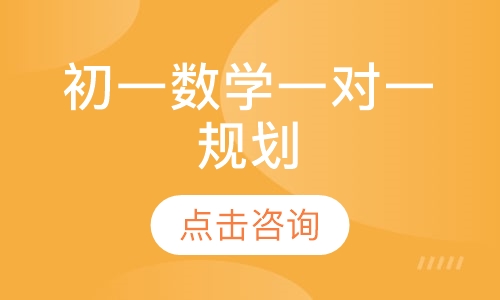 初一数学一对一辅导
