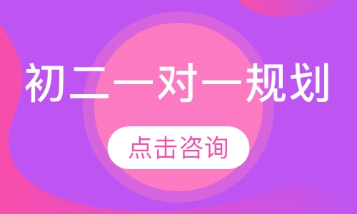 初二一对一辅导
