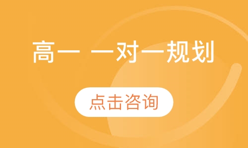 高一 一对一辅导