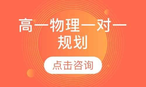 高一物理一对一辅导