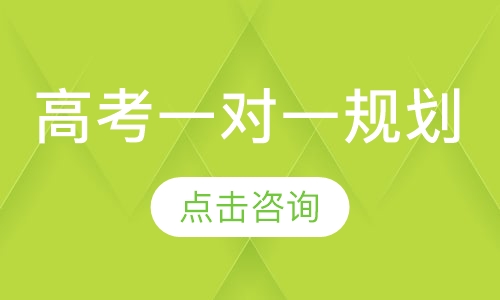 高考一对一辅导